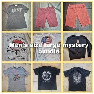 Men's Size Large Mystery Clothing Bundle